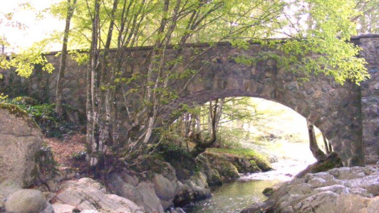 С деца на Балкана