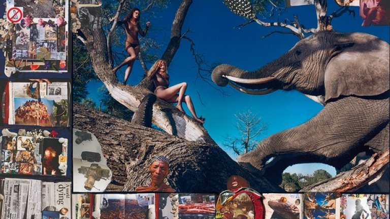 Снимка за корицата на календара за 2009 година, фотограф: Питър Биърд