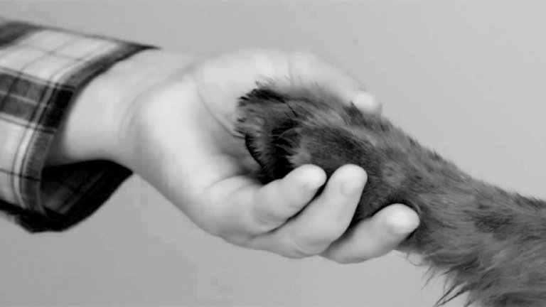 Kаква е тайната да се отдадеш така на някаква кауза