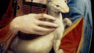 The_Lady_with_an_Ermine