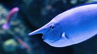 david-clode-0izux0eMf28-unsplash