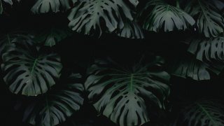 gilles-lambert-mSK5nNsAsLY-unsplash