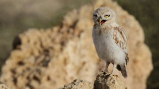 abdelrahman-hassanein-jdFscnVoDxw-unsplash