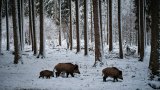 rolf-schmidbauer-QaBLP8wItuY-unsplash