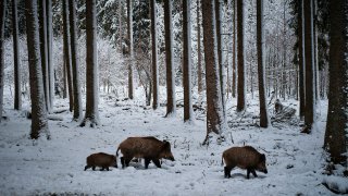 rolf-schmidbauer-QaBLP8wItuY-unsplash