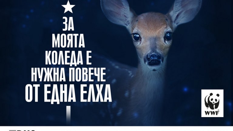 Подкрепете природозащитната организация, за да продължи да опазва горите в България