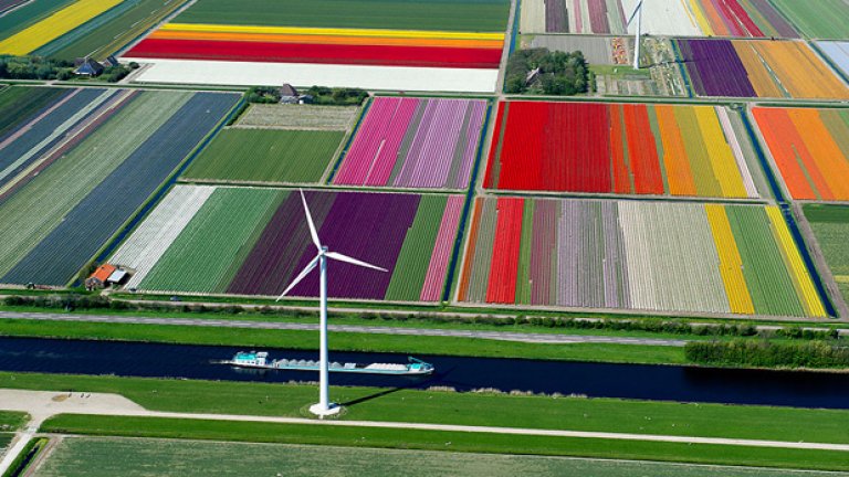 Гледката в Холандия е невероятна - зелени, широки ливади, с черно-бели крави и овце, лалета, а над тях гордо извисени и въртящи се огромни ветрогенератори