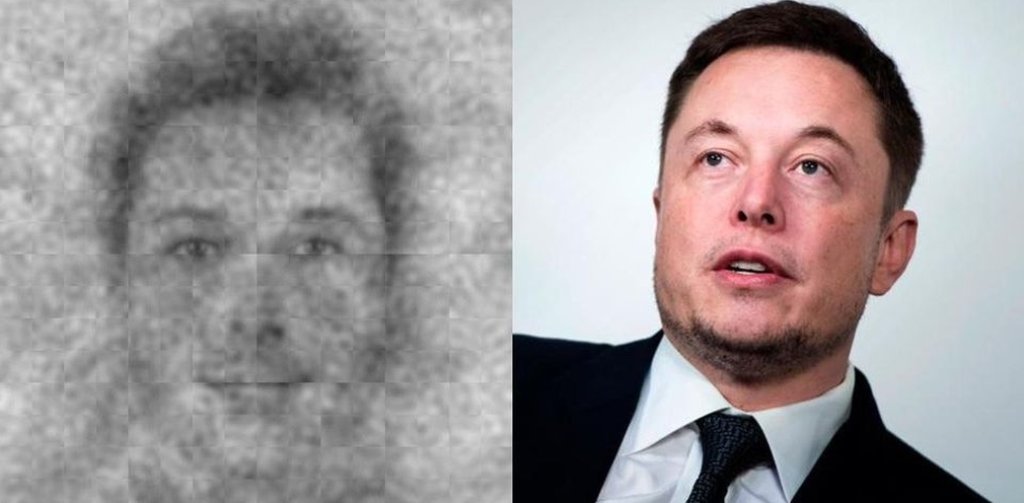 elon