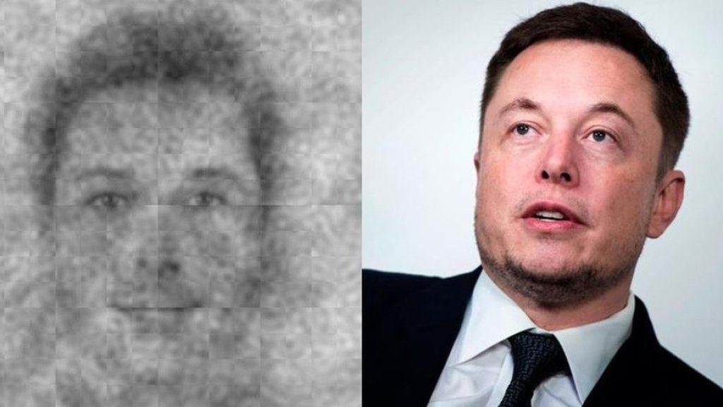 elon