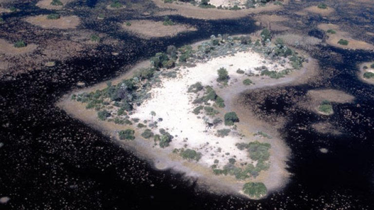 Остров във формата на сърце в Okavango Delta, Боствана