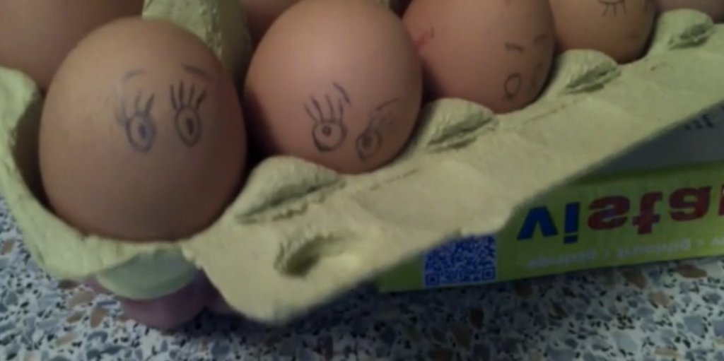 eggs