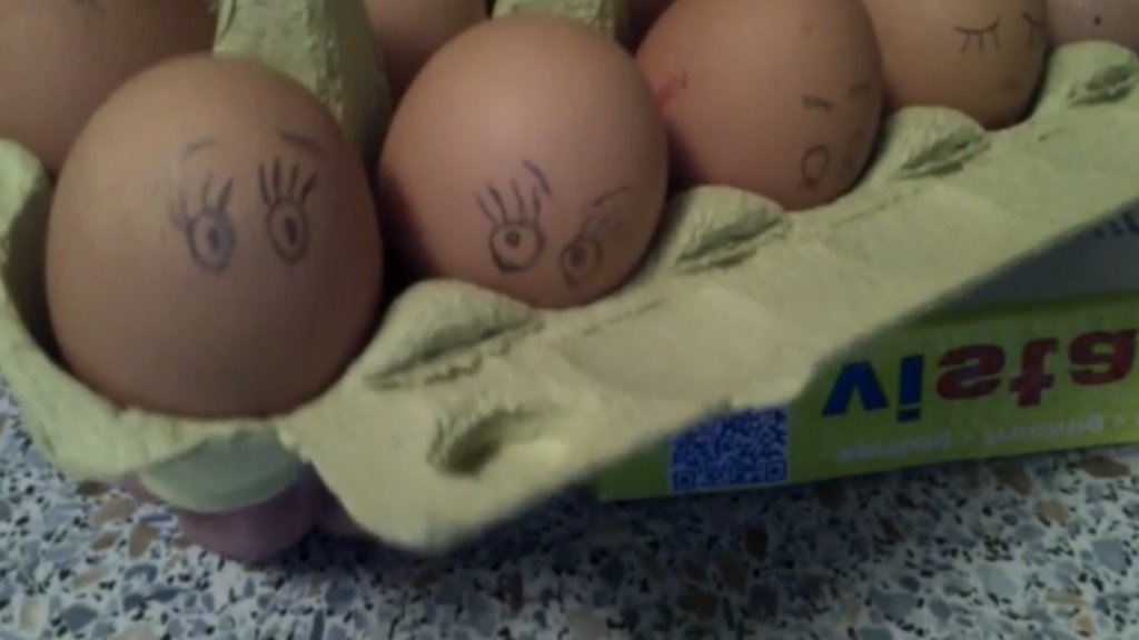 eggs