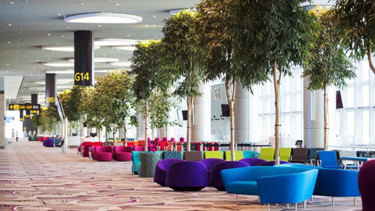 Топ 10 на най-добрите летища
5. Летище Сингапур Чанги, Сингапур
Обща оценка: 8,48 от 10
Точност на полетите: 8,5
Качество на обслужването: 9,2
Отзиви на пасажерите: 5,1