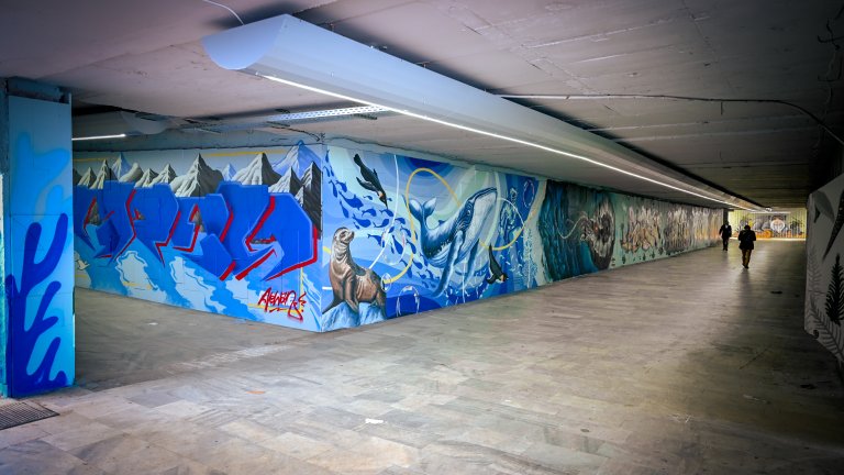 Арт графити украсиха обновен подлез на "Цариградско шосе" (СНИМКИ)