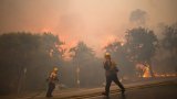 Извънредно положение в Лос Анджелис заради огромен пожар