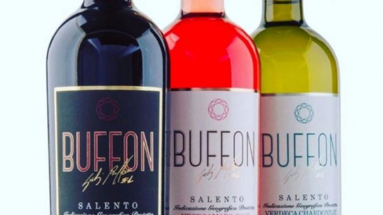 16. Класен бизнесмен
През 2017-а Буфон пусна своя лимитирана серия вина „Буфон №1“ от червени, бели вина и розе, от която се произвеждат по 90 000 бутилки годишно. Освен това, притежава и ресторант в Пистория.