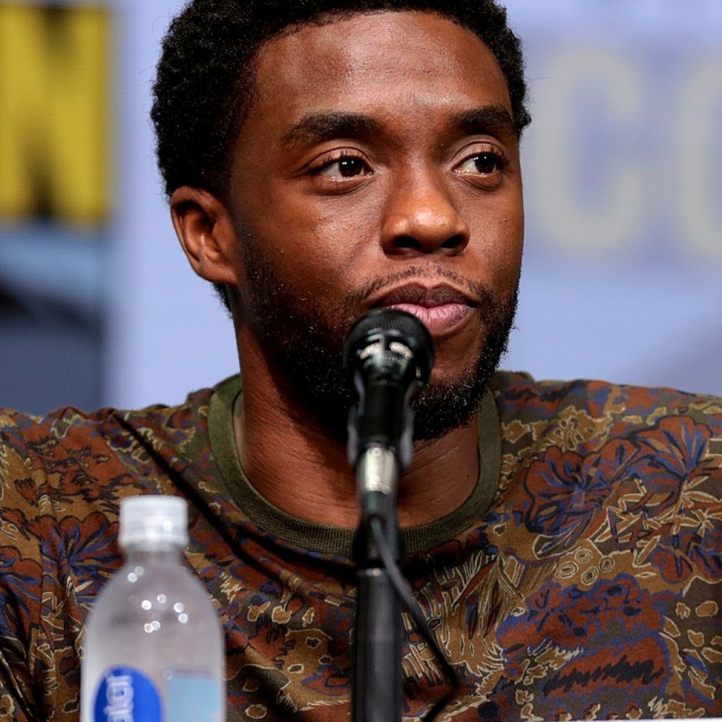 Chadwick_Boseman_by_Gage_Skidmore_July_2017_(cropped)