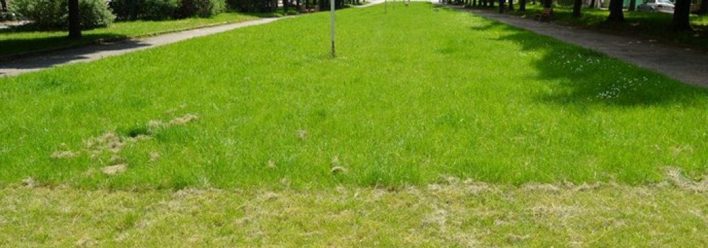park