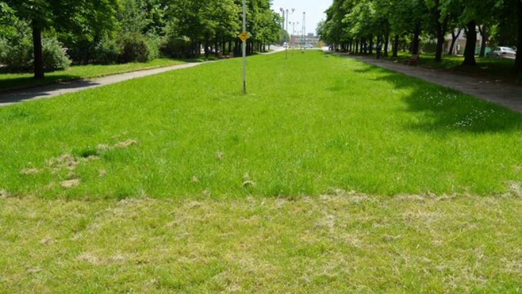 park