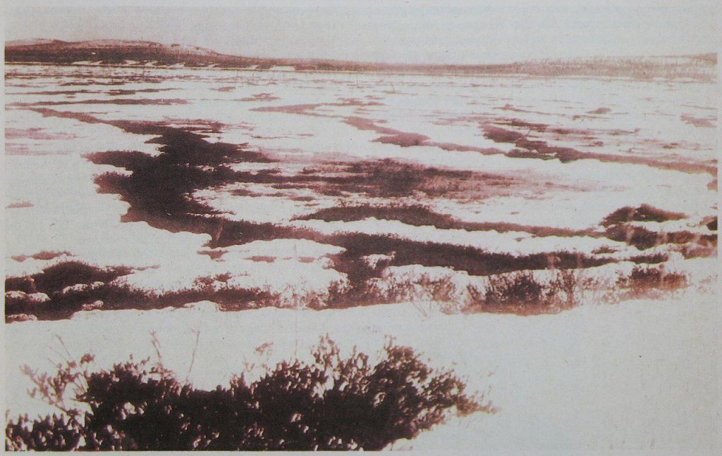 1280px-Тунгус_метеорит_Топи_Тунгуски_до14сент1930_ВС1931