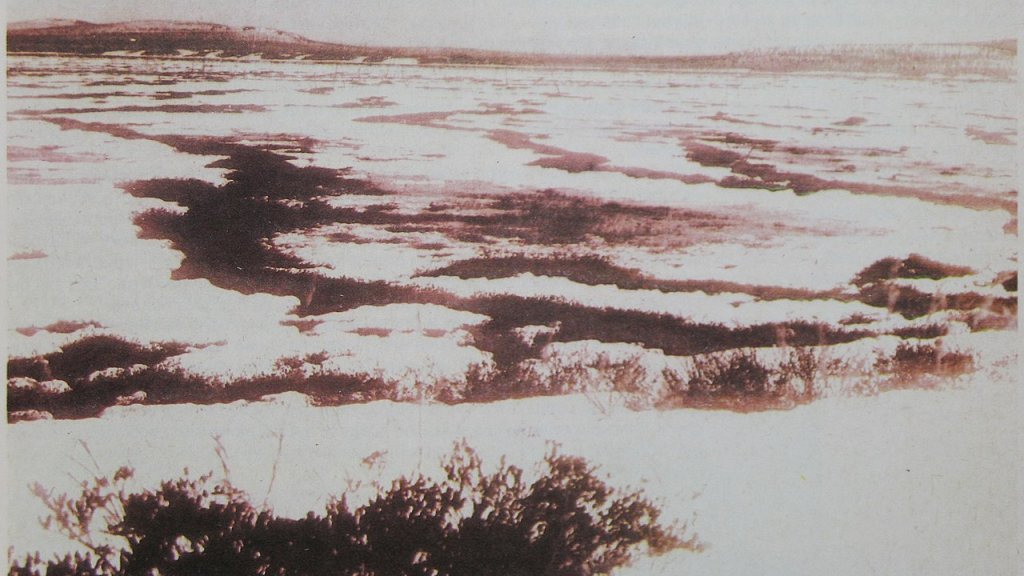 1280px-Тунгус_метеорит_Топи_Тунгуски_до14сент1930_ВС1931