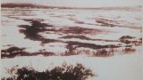 1280px-Тунгус_метеорит_Топи_Тунгуски_до14сент1930_ВС1931