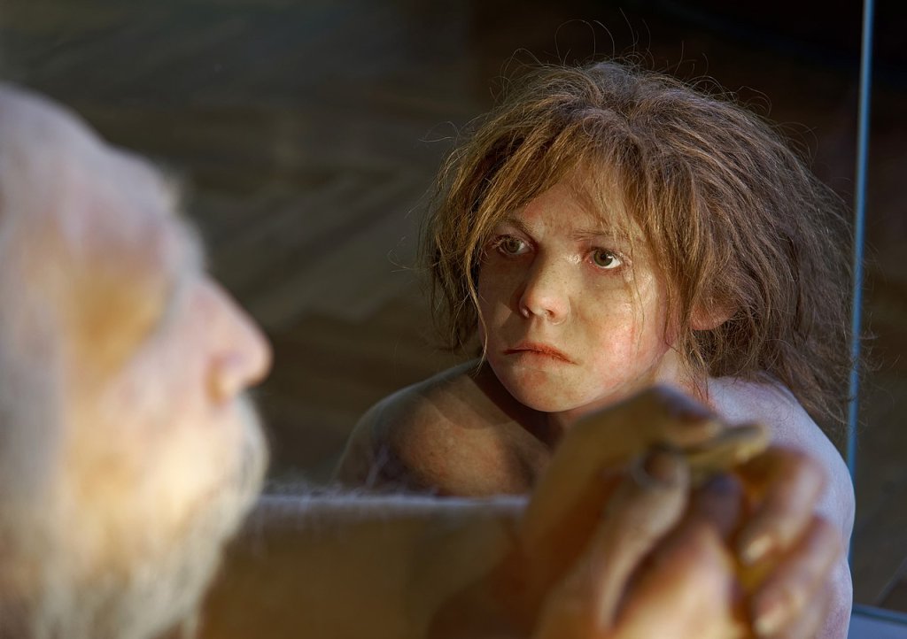 Homo_neanderthalensis,_The_Natural_History_Museum_Vienna,_20210730_1225_1278