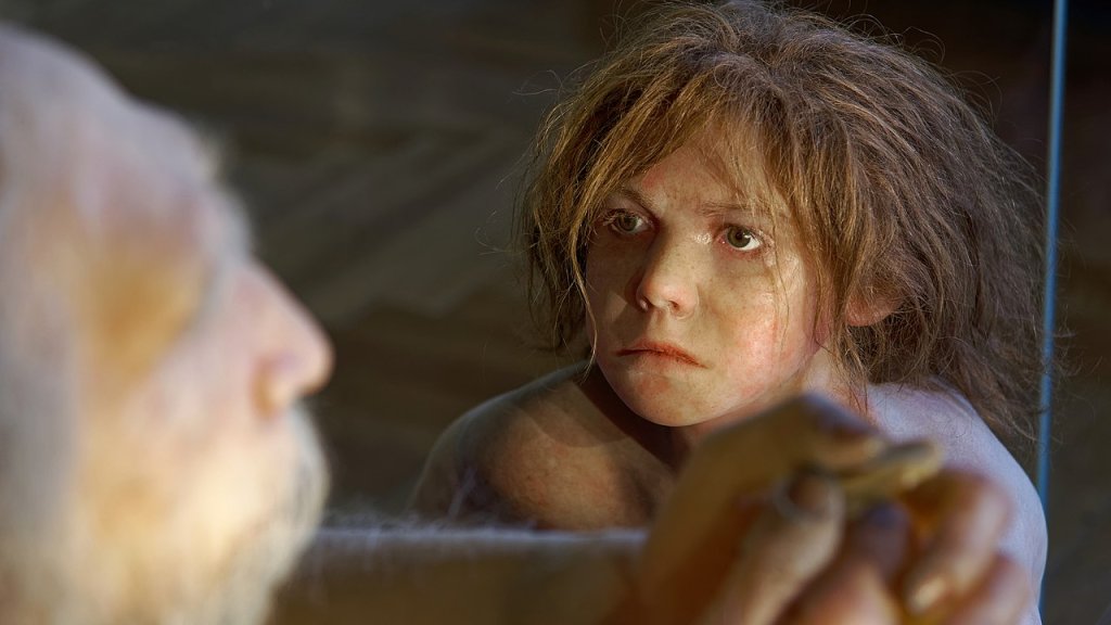 Homo_neanderthalensis,_The_Natural_History_Museum_Vienna,_20210730_1225_1278