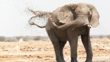 caterina-sanders-OP3ghv27Yto-unsplash