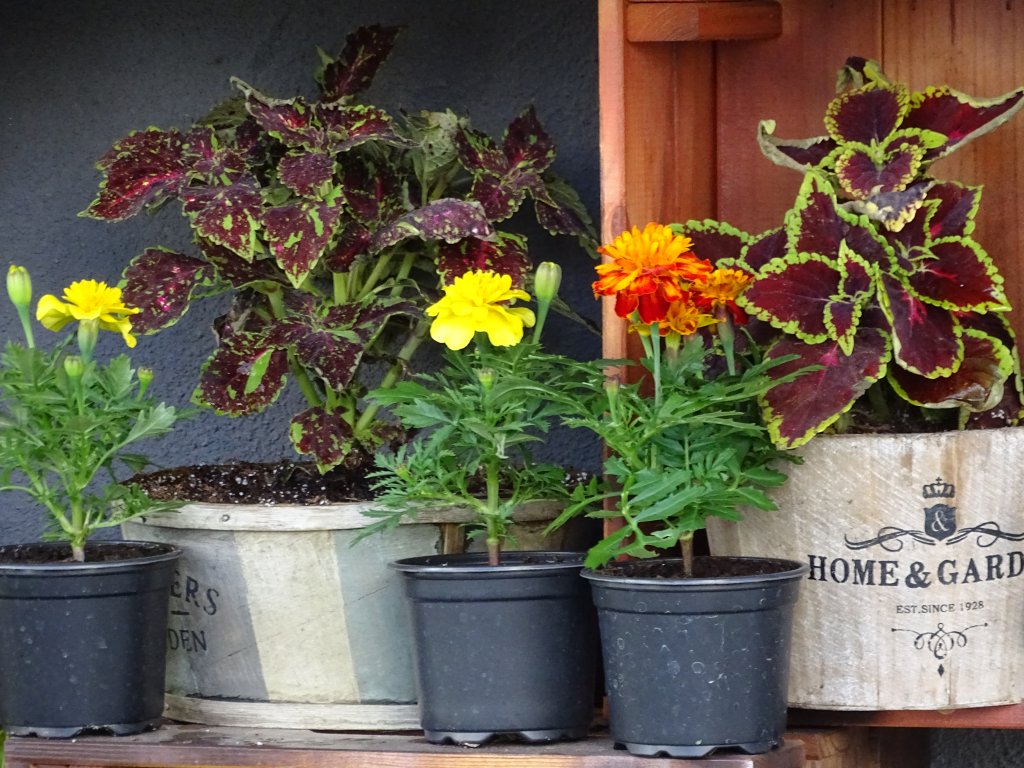 Ако градинката пред Вашия блок е обраслa с бурени, тъжно и необгрижено пространство, направете нещо за него.
