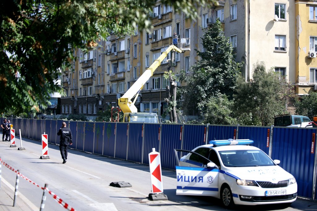 Защо Столична община реже 39 дървета по ул. "Опълченска" (снимки)