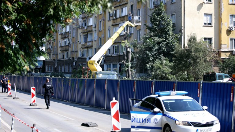 Защо Столична община реже 39 дървета по ул. "Опълченска" (снимки)