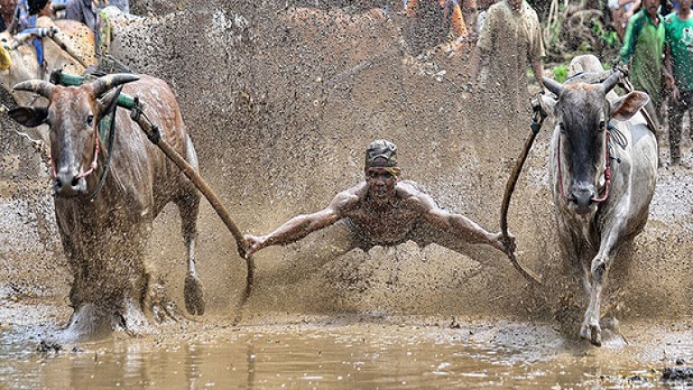 National Category: Националната награда на Индонезия: Not Superman