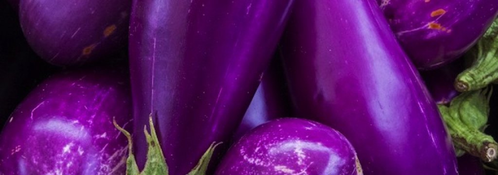 eggplants-000_Was7797465-640