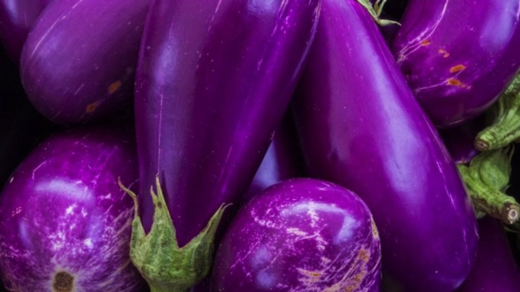 eggplants-000_Was7797465-640