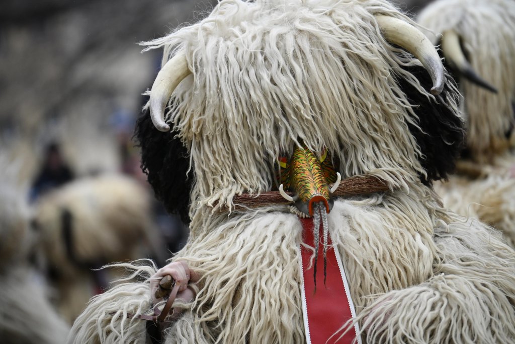 Сурва 2026 в снимки