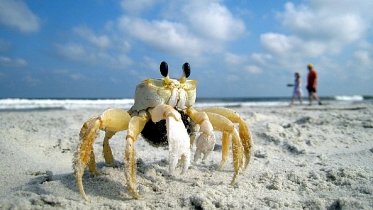 Знам какво ще слушаш това лято, пич