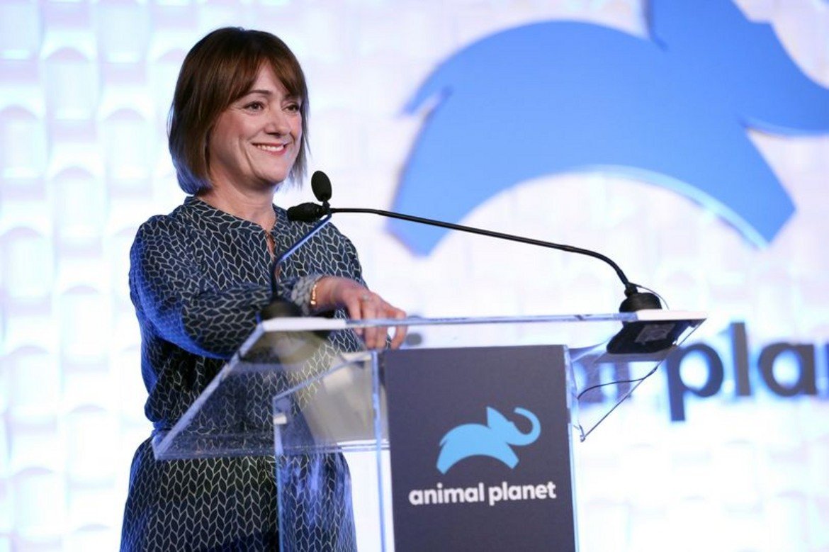 Преди да стане главен ръководител на Animal Planet, Динадж беше президент на британския клон на Discovery Networks. Тя е заемала различни ключови длъжности в Discovery, където работи от 2009 г.