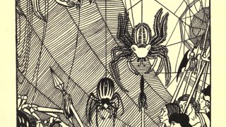 William_Strang_spider_battle_in_1894_True_History