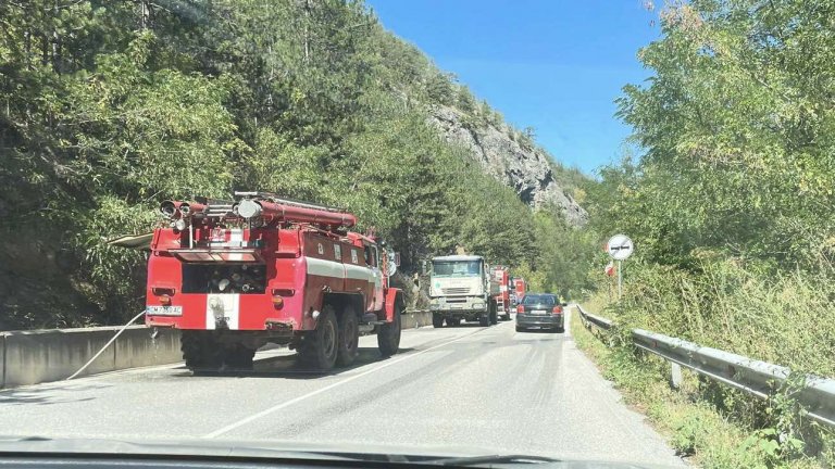 Три са огнищата в областта