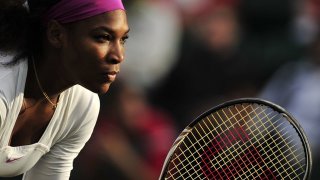 61368592_serena