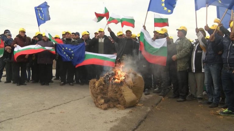 Животновъди ще застанат пред земеделското министерство заради неизплатени субсидии. Сдружението "Обединени български животновъди" иска незабавно да бъдат изплатени забавените средства.