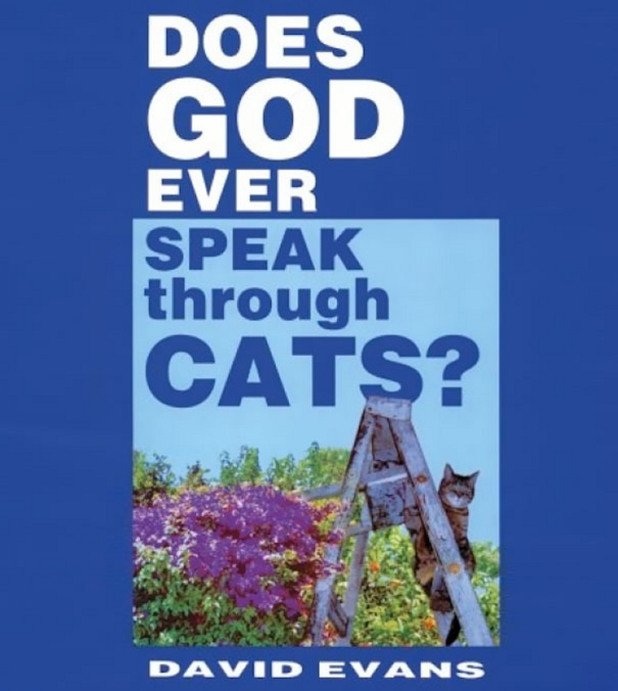 „Говори ли Бог чрез котките?”, пита заглавието. „Какво иска да ни каже корицата?”, питат читателите