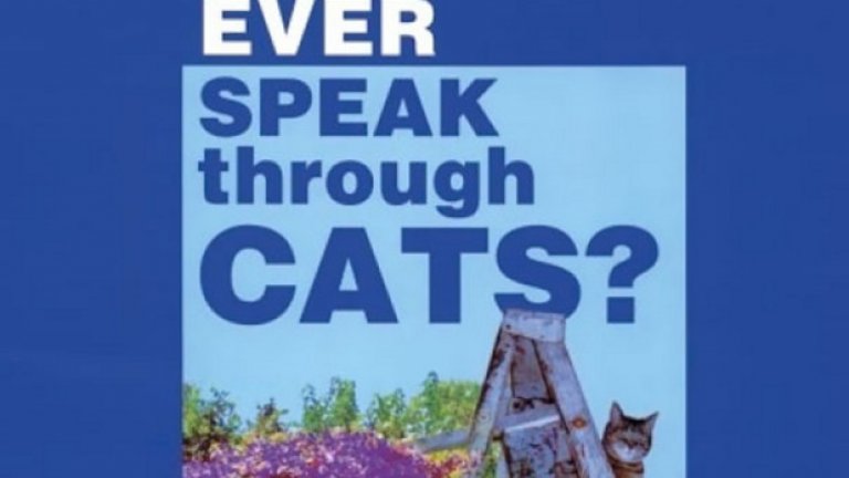 „Говори ли Бог чрез котките?”, пита заглавието. „Какво иска да ни каже корицата?”, питат читателите