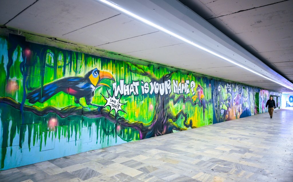 Арт графити украсиха обновен подлез на "Цариградско шосе" (СНИМКИ)