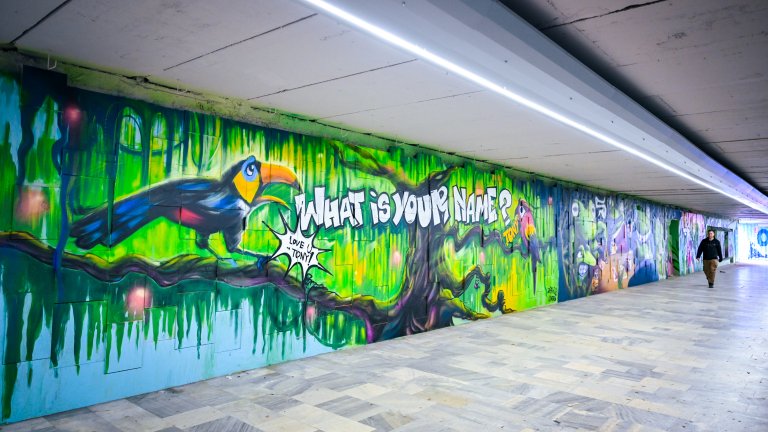 Арт графити украсиха обновен подлез на "Цариградско шосе" (СНИМКИ)