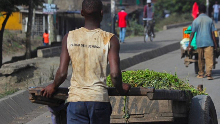 Количката е основен вид моторно превозно средство, срещано по улиците