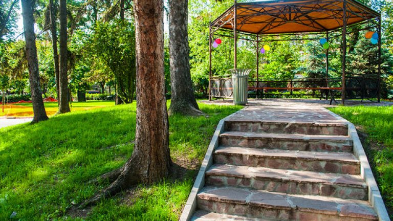 Докторската градина в София е любимо място
