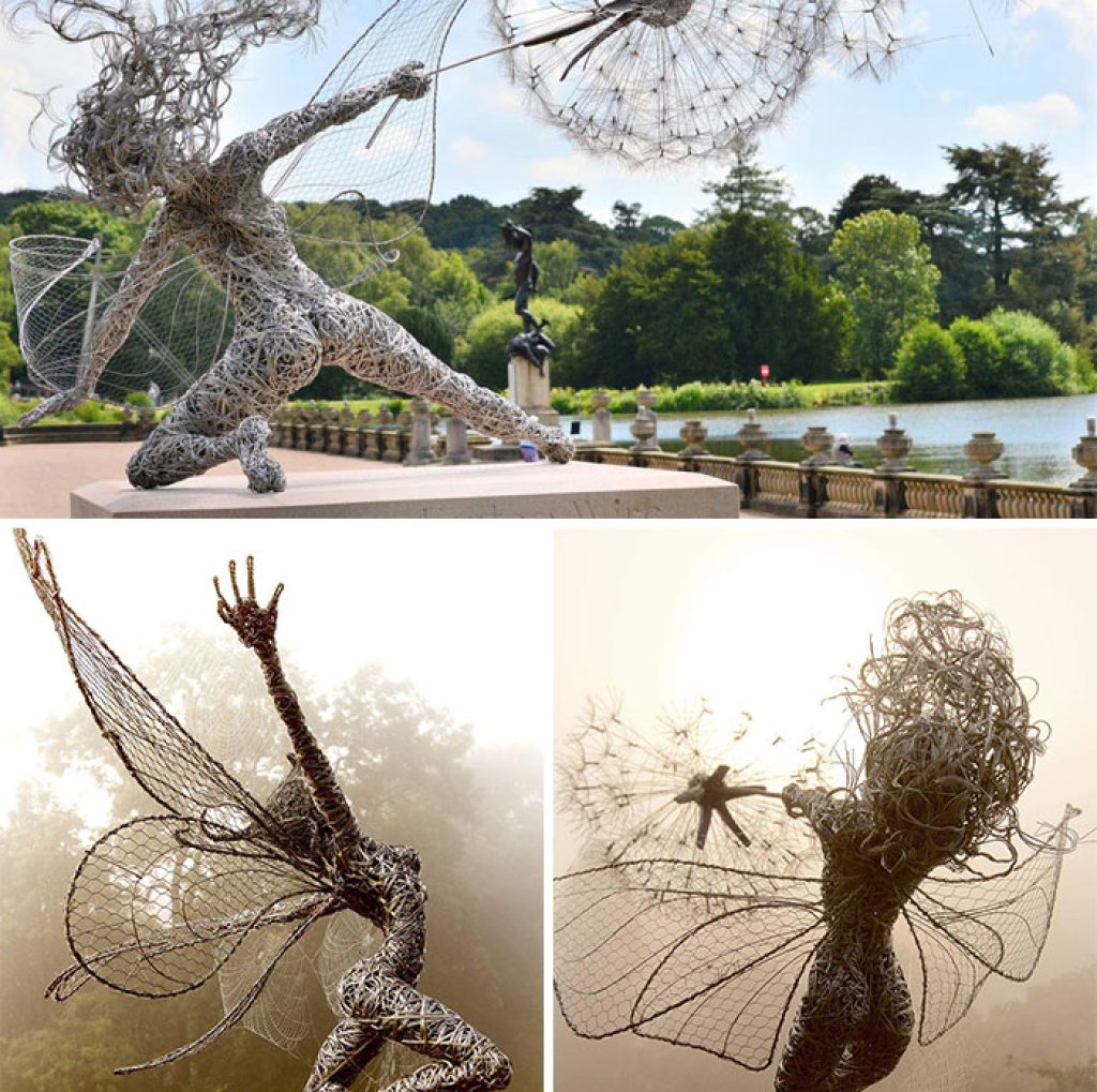 Wire Feiries by Robin Wight