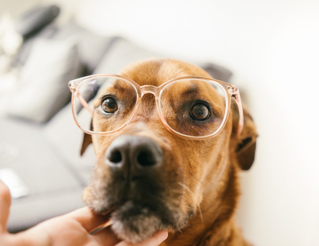 ruby-schmank-Zk3t0u_p4pE-unsplash